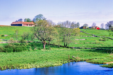 Rural landscape view with a river at spring - 786879564