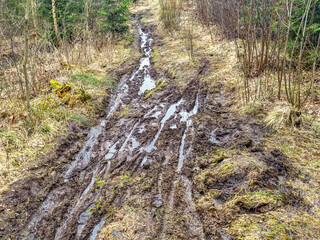 Bicycle track in the mud on a path in the forest - 786879729
