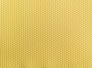 Wax base or honeycomb base (wax plate) forming the base of the honeycomb