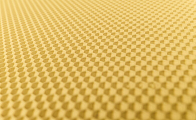 Selective focus on the wax base or honeycomb (wax plate) forming the base of the honeycomb