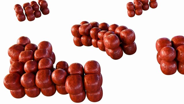 3d rendering of Sarcina, tetrad characteristic morphology and able to survive in extreme low pH environment. S. ventriculi and S. maxima within the genus Clostridium