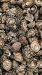 dried Shiitake mushrooms