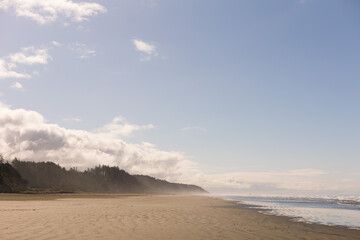 Ocean beach with coast forest and blue sky © Cavan