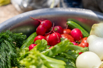 A bowl of vegetables including radishes, tomatoes, cucumbers