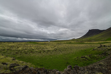 Moss-covered lava fields in Iceland - obrazy, fototapety, plakaty