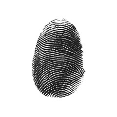 clear illustration of human fingerprint isolated on transparent background
