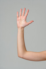 Open palm of a female hand o gray background