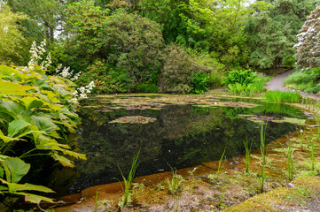 Plan d'eau à Inverewe Garden en Ecosse au Printemps