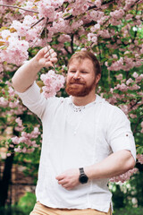 Portrait of a man with a red beard in a blooming garden. Gender equality. Spring came