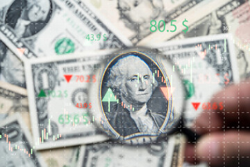 Hand holding magnifier glass to focus on one USD dollar banknote with update and down arrow for Federal or FED increase and decrease percentage of interest to reduce inflation crisis concept.