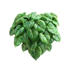 Heart shaped plant with leaves on transparent background. Generative ai.