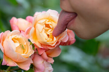 Tongue sensual lick rose. Sexy woman mouth with tongue sticking out. Beautiful mouth close-up. Big...
