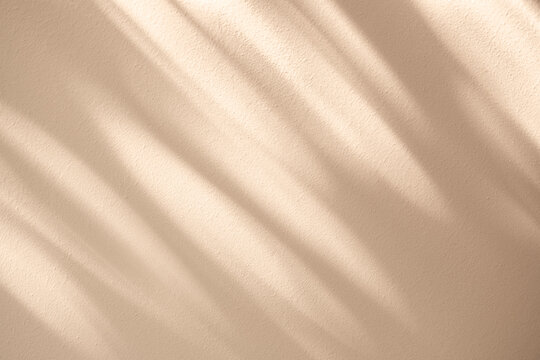 Wall interior autumn background, studio, and backdrops show products. with shadow leaf color beige background for text insertion and presentation of product	