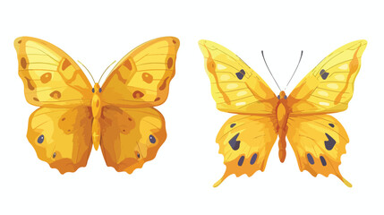 Cartoon yellow butterfly icon. Vector illustration isolated