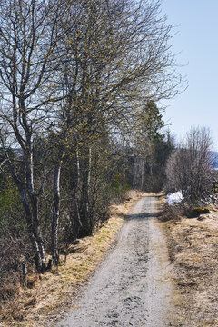 Images from the cultural landscape of Toten by Overnvegen Road and former Skreiabanen Railroad, Toten, Norway, a day in April of 2024.