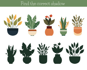 Vector template find the right shadows for plants in pots. Educational worksheet with houseplants in vases and silhouettes for kindergarten and school games. Connect illustrations