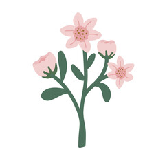 Vector Pink Flower Isolated Clipart Element