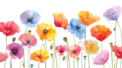 Colorful poppy flowers watercolor illustration flat vector