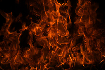 Texture of fire on a black background. Abstract fire flame background, large burning fire. - 786932128