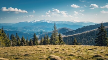 carpathian countryside scenery of ukraine on a sunny day in spring. coniferous forest on a grassy hills in valley. borzhava mountain range with snow capped tops in the distance beneath a blue sky - Powered by Adobe