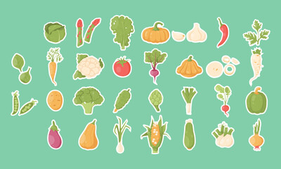 Set of 30 cute vegetable vector stickers