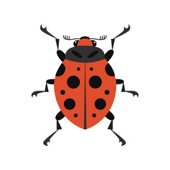Cartoon ladybug vector flat illustration. Insect on a white isolated background. Funny red bug with dark spots. Template for use in children`s design, textiles, books, packaging.