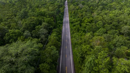 Gardinen Aerial view asphalt road and green forest, Forest road going through forest view from above, Ecosystem and ecology healthy environment concept and background, Road in the middle of the forest. © Kalyakan