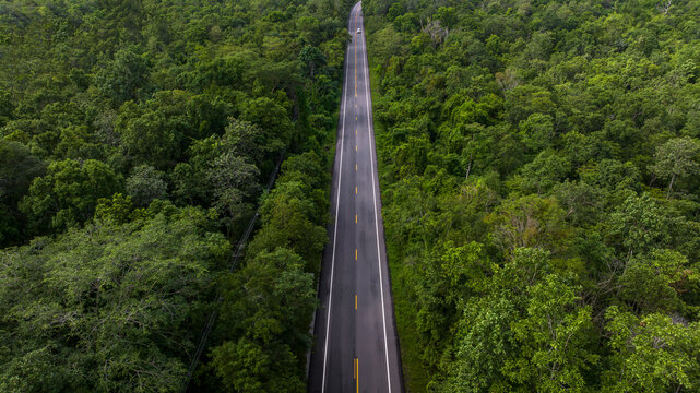 Fototapeta Aerial view asphalt road and green forest, Forest road going through forest view from above, Ecosystem and ecology healthy environment concept and background, Road in the middle of the forest.