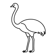 illustration of a ostrich