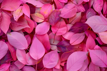 pink autumn leave background generative ai © maaz