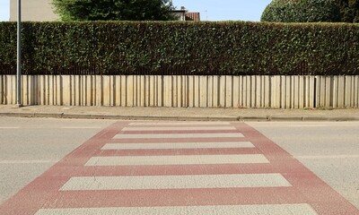 Fence consisting of prefab concrete wall with high hedge on top. Cement sidewalk, red and white crosswalk and street in front. Background for copy space