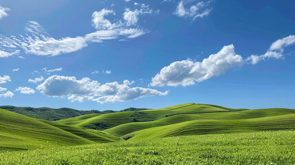 rolling green hills and blue sky