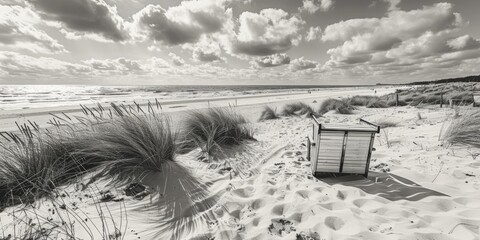 A serene black and white image of a beach, perfect for various design projects