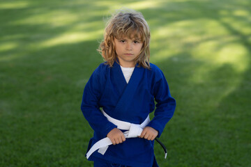 Kid boy practicing karate outdoor. Sport karate kids. Little boy wearing kimono doing karate in park. Child training box. Little karate fighter. Martial arts for kids. Child in kimono boxing punch. - 786955793
