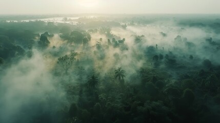 Aerial view of dense tropical rainforest shrouded in ethereal morning mist.