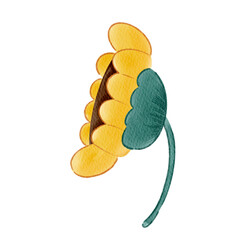 autumn leaves on a white background