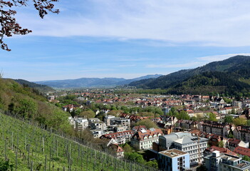 Der Osten von Freiburg und das Dreisamtal im Frühling - 786961342
