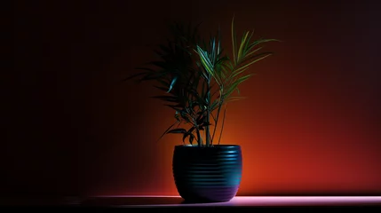 Foto op Plexiglas A solitary potted plant bathed in the glow of a soft, colorful light against the backdrop of a dark, elegant room. © Awais