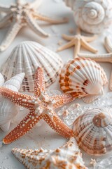 Fototapeta na wymiar Close up of shells and starfish on a table, perfect for beach-themed designs