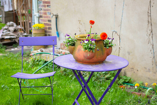 Pot de fleurs en terre cuite pos&eacute; sur une table de jardin mauve