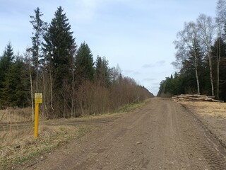 Road in forest in Siauliai county during cloudy early spring day. Oak and birch tree woodland. Cloudy day with white clouds in blue sky. Bushes are growing in woods. Sandy road. Nature. Miskas.	 - obrazy, fototapety, plakaty
