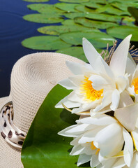 White water lilies and a straw hat against the background of a blue river.