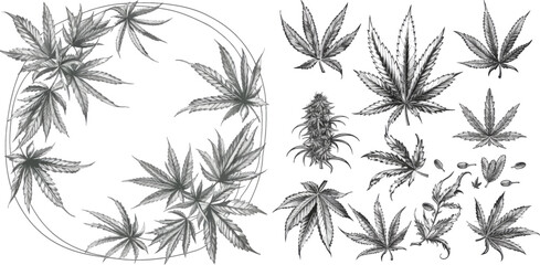 Fototapeta na wymiar Bundle of monochrome square, round and rectangular border templates decorated by weed foliage and buds