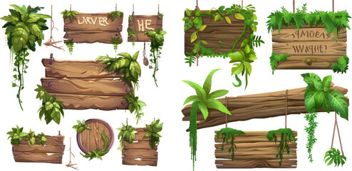 Jungle wooden signboards