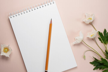 Anemone flowers, notebook blank and pensil on a soft pink background. Flat lay. Mockup, copy space.