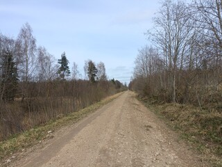 Fototapeta na wymiar Road in forest in Siauliai county during cloudy early spring day. Oak and birch tree woodland. Cloudy day with white clouds in blue sky. Bushes are growing in woods. Sandy road. Nature. Miskas. 
