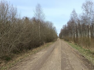 Road in forest in Siauliai county during cloudy early spring day. Oak and birch tree woodland. Cloudy day with white clouds in blue sky. Bushes are growing in woods. Sandy road. Nature. Miskas.	 - obrazy, fototapety, plakaty