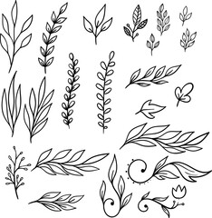 Set of hand drawn leaves, branches, flowers, flourishes. Design element for banner, sign, poster, decoration. Vector illustration - 786972328