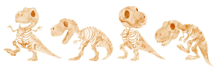 Tyrannosaurus Rex dinosaur skeleton . Watercolor paint cartoon characters . Set 1 of 4 . Vector .
