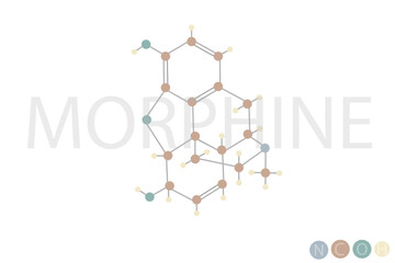 morphine molecular skeletal chemical formula